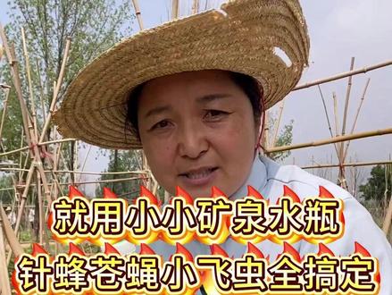 果实蝇 针蜂 一个矿泉水瓶全搞定#果园管理 #三农
