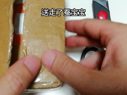 送走了蚕宝宝和蚂蟥 魔法鱼到了 来个拆箱分享 #魔法鱼 #丰年虾 #开箱 #拆箱 #分享