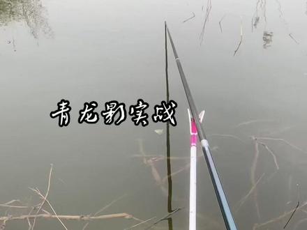 王哥亲测 青龙影 休闲野钓! #手感好腰力足 #春季野钓 #青龙影 #正品保证 #钓鱼的乐趣只有钓鱼人懂