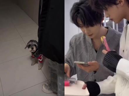 一个恋爱博主的日常
有普普在我身边的每一天都感觉很幸福#云旗 #郝熠然 #云熠星河 #恋爱日常