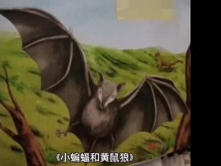 伊索寓言每日一则:小蝙蝠和黄鼠狼#儿童故事