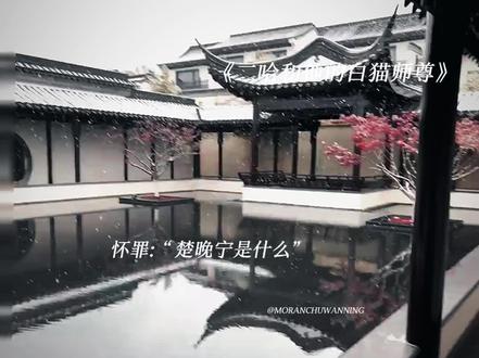 他是个活生生的人啊#二哈和他的白猫师尊#墨燃#楚晚宁