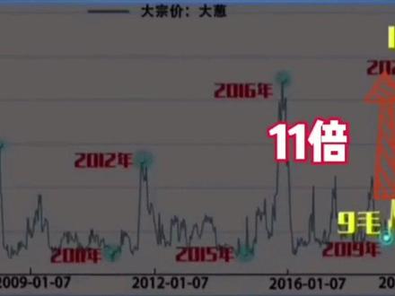 #大葱价格 #大葱行情 #大葱种植 #抖音助农 #葱哥聊大葱 又来了!老铁你认为下年葱价啥样?明年还能继续种葱吗?那年才是大行情?