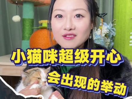 小猫咪在家超级开心才会出现这几种举动哦#养猫人的幸福瞬间 #创作者中心 #创作灵感 #猫咪日常 #猫咪开心的表现