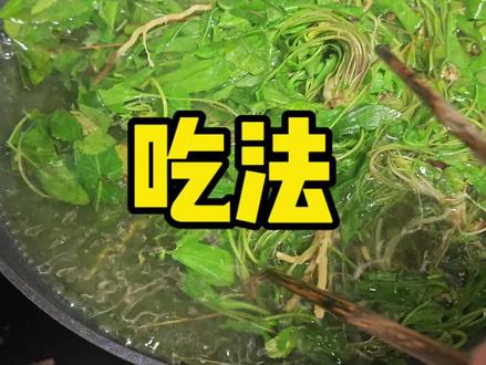 紫花地丁做法
#紫花地丁#重庆主城周边打野#重庆