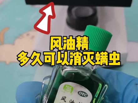 风油精多久可以消灭#螨虫 #实验 #万万没想到