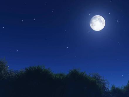 月圆之夜鱼难钓?路灯下夜钓又有何不同,细说环境光对夜钓的影响#2022dou来钓鱼 #dou是钓鱼人