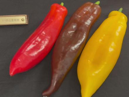 你最吸引人的地方 #塔罗测试 #塔罗 #占卜