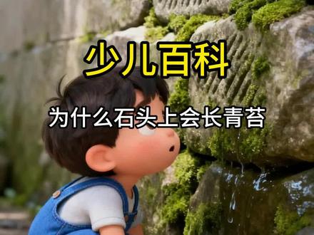 少儿百科知识,为什么石头上会长青苔?#儿童科普#科学启蒙#百科知识#十万个为什么#每天一个科普小知识