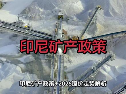 印尼矿产政策变化 #工业实力现场 #金属定价 #印尼矿产资源 #国际镍价 #每天跟我涨知识