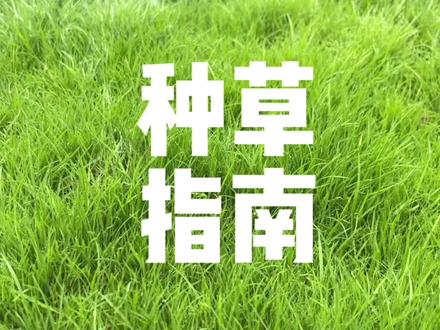 一个月种出地毯草坪!💰怒省3k
#小院时光 #种草坪 #装修日记 #小院日常 #花园草坪自己种 #田园生活小院