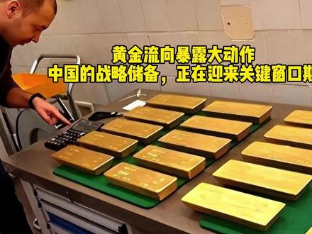 黄金流向暴露大动作!中国的战略储备,正在迎来关键窗口期! #全球创作者计划 #俄罗斯 #黄金 #零基础看懂全球 #国际局势
