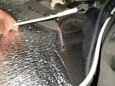 赵朔这人,是带着颗“孩子气”走西行路的。世界上的吵吵闹闹,他偏不往耳朵里拾,与万物称兄道弟,灵魂早有了专属的频道。
见着小狗,他便凑过去,“汪汪”,让小狗摇着尾巴蹭他手背,跟它絮絮叨叨说这一路的风景;墙根下的小猫打盹,他轻手轻脚凑过去,声音放得软软的,“咪咪,让我摸摸”;连地上爬的毛毛虫、竹林里织网的蜘蛛、路边花朵上的蝴蝶,他都要停下脚,蹲那儿看半晌,仿佛能听懂它们说的话。
西行路上的辛苦是真的,靴底磨薄了,脸晒黑了,可他眼里尽是乐趣,身体在路上一步步挪,灵魂倒像撒了欢的孩子,在这些细碎的欢喜里“野”得自在。
有趣的人,灵魂自带着光,再长的路,再吵的世界,于他都是好风景。#赵朔西行漫记 #赵朔