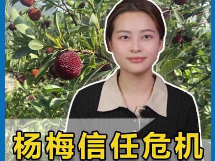 福建漳州通报“泡药杨梅”事件:行政立案12起,刑事拘留5人。 别让一颗“泡药杨梅”,坏了一整季的鲜甜。#杨梅