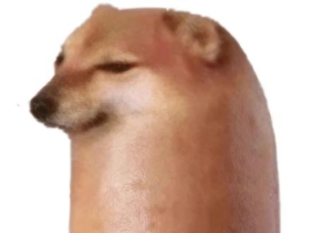 比比拉布纯享版 #cheems #比比拉布 #我的刀盾 #八嘎呀路 #meme