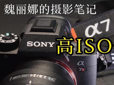 魏丽娜的摄影笔记—索尼相机—高ISO降噪 #摄影摄像 #摄影器材 #微单 #索尼