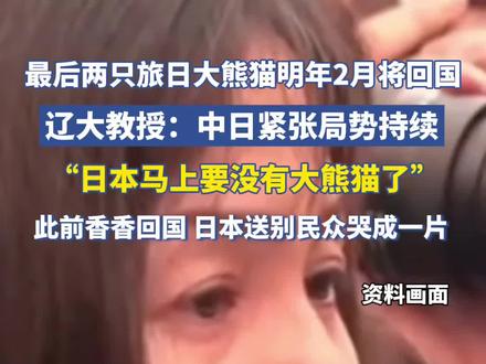 日本,马上要没有大熊猫了