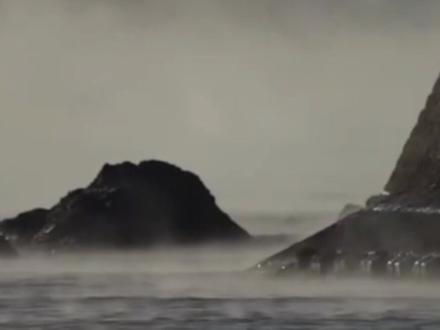 #青岛 #海 #降温 专家解读青岛海浩奇观,极寒天气才可能出现。