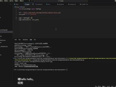 DrissionPage