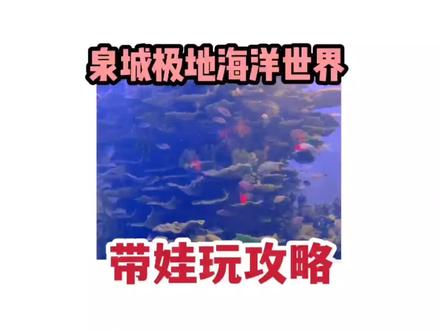 过年放假带娃去哪玩?带你看看#泉城极地海洋世界 到底值不值#周末去哪玩 #过年去哪玩
