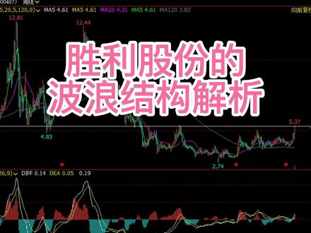 胜利股份的波浪结构解析