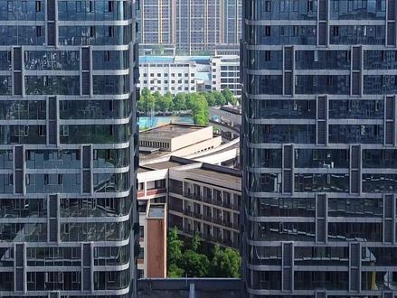 蒸湘区这次成为大赢家了 #衡阳雁城研究所