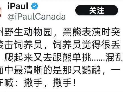 又看了一集熊出没。#杭州动物园 #人寿