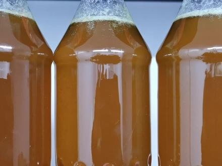 卖蜂蜜需要哪些证件?我都给大家罗列出来了,快看看吧#新农人计划2023
#来抖音学农技#蜂蜜