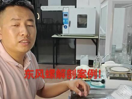 东风螺解剖检查案例分享!