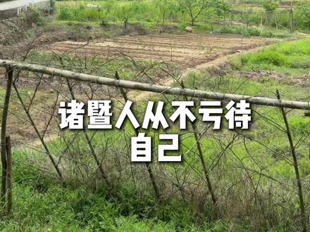 户外采摘 带扑扑回老家,在路边发现了野莓,也让他感受到了自己童年的快乐,有多少朋友们小时候专门找这些野莓吃的~
#循证育儿 #户外采摘 #新手爸妈 #采风 #野莓