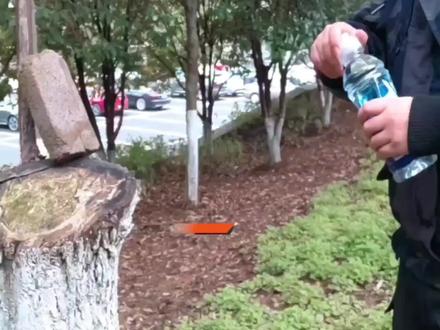 #无限制格斗陈鹤皋 #双截棍 #流星锤实战 #街头格斗 #防身术 饮料瓶流星锤防身术 地铁防御指南-随身带瓶装水很合理吧 面对地铁男刀教你用水瓶自卫,下面我们将通过一些实验来展示水和瓶的力量。
首先,是利用水的力量进行攻击性的实验,也就是水流动集力打击。当一斤水集中起来,其惯性冲击力不亚于流星锤,虽然仅限于对付软目标,但是这种水流动集力打击的效果非常惊人。
水其实可以作为一种攻击性武器,通过一些实验,我们可以看到威力不亚于流星锤。尖叫水瓶格斗术与酒瓶流星锤是其中的一个,也可以举一反三,在防卫中,使用提前准备好的快速连接绳索,可将生活中的重物或水瓶进行快速对接,并能随身携带EDC的格斗理念,众所周知,我们在遇到危险用裸拳在防卫中打击,击中硬物或训练水平不到位,总会难免的发生一些破皮或者手腕撅伤的风险,因此我们以身边的收束水的重量的饮料瓶来代替裸拳,可以很好的规避搏斗中受伤的风险,大家可知道,一斤水的重量在集中后,代替摆拳发挥出的打击力量有多大,相信通过刚才的实验大家心里都有数了吧。一斤水集中打击时所产生的惯性冲击力,丝毫不亚于流星锤,皮拍子等专业防身武器的威力。称之为水流动集力打击。但仅限于对付肉体等软目标!下面就是我列举的应用场景之一,我们来看,便利店所发生的抢劫或者其他日常意外突发性冲突,可以看到便利店到处可见货架上的饮料瓶,那么我们便可以急中生智,先远程投掷几个出去,为我们争取几秒近战攻击的武器搭建构筑所需要的时间,对峙并寻找机会。其二应用场景就是特殊工作需要进入闹吧等暴力冲突矛头易引发地。随处可见的啤酒瓶,特别是玻璃的,那么我们以最为轻便隐蔽身上藏的绳索进行快速连接为例,这个水瓶即可成为一个趁手流星锤。而连接二个,即组成双截棍。其三场景就是车内,像我们伸缩棍虽然武器战力更高,但其普通人用于载具内防身,必然不合理,像地铁内我们也不能携带去安检,只能办托运才可行。所以随身且极符合生活化的饮料和折叠伞在载具内应用场景就诞生了。比如下面这位见义勇为者,能为行动的时候降低点风险。当然前提是训练训练且专业训练。我还是建议见义勇为者能在考虑自身安全的前提下去进行,不过其精神还是给你点赞!接下来就是部分格斗动作演示,当我们手中的尖叫滋中对手面部,多少能使其视线受阻,这和东南亚脏武术的理念相似,相当于代替催泪喷雾的远程攻击,正所谓害人之心不可有,防人之心不可无。有备无患