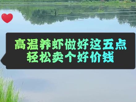 高温养虾做好这五点,轻松卖个好价钱#小龙虾养殖 #水产养殖技术 #虾蟹养殖 @DOU+小助手 @抖音小助手