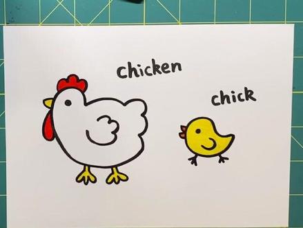 鸡🐔Chicken小鸡🐤Chick#儿童简笔画 #英文单词