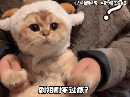 《入学魅魔学院,太受欢迎怎么办 》 #入学魅魔学院 #跨物种恋万人迷 #剧情故事 #猫箱