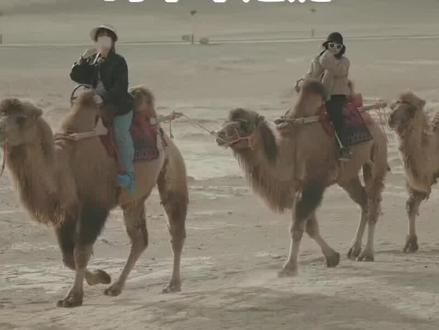 长安or洛阳
——解开丝绸之路起点的千年之谜