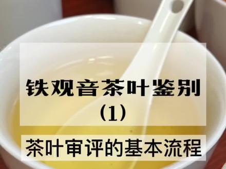 如何鉴别一款铁观音?怎么鉴别铁观音茶叶的质量?#茶艺课 #天津茶艺 #茶叶审评 #铁观音 @DOU+小助手 @抖音小助手