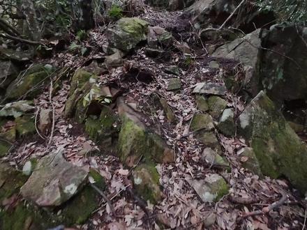 走过的最虐最危险的一条路线,桐庐龙脊线 路线全程12公里,累计1800米的爬上,需要走过两边都是悬崖的石头,爬上80度的崖壁,还有上下数不清的陡坡,新手建议不要前往,有经验者也得保持敬畏之心#徒步 #桐庐龙脊线 #户外 #杭州 #爬山