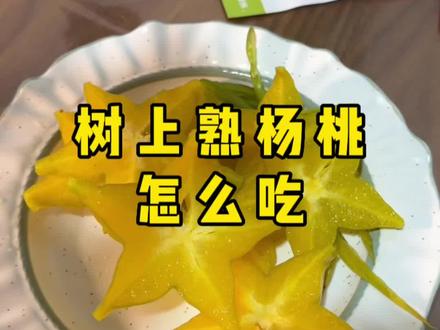 树上熟杨桃我还是建议大家就吃它的原味就已经很好了,几乎没有酸涩,清甜爆汁!#杨桃的正确吃法 #水果切法