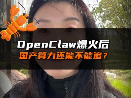 OpenClaw爆火后,国产算力还能不能追?
#A股 #算力芯片 #国产替代 #OpenClaw #华为昇腾