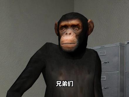 眼见,真的为实吗? #游戏 #整活 #游戏鉴赏家