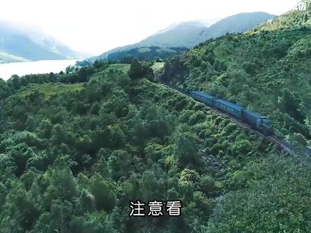 一口气看完《无主之城》#好剧推荐 #影视解说