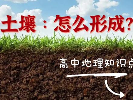 【高中地理】土壤的主要形成因素,作为高中生的你学习了吗? #土壤 #土壤的形成 #土壤的主要形成因素 #高中地理 #高中地理知识 #地理 #高考 #土壤改良 #科普一下