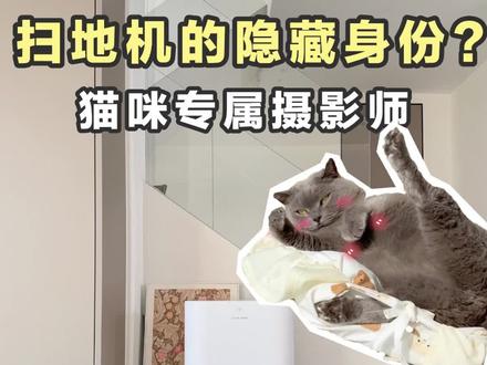 你敢信?扫地机给猫咪当上站姐了! #追觅s40增强版#追觅亿点点好运