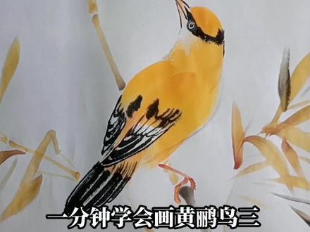 黄鹂鸟最经典的造型,国画黄鹂教学分享,你学会了吗#国画教程 #写意花鸟 #一起学画画 #国画教学