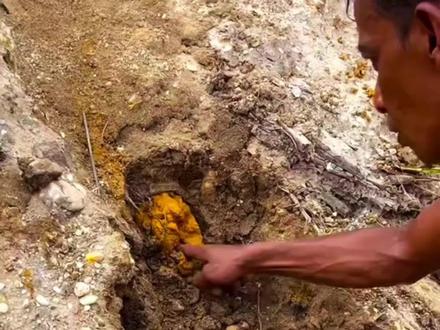 户外寻宝:男人在野外发现大量含有黄金的泥土 #户外寻宝 #户外