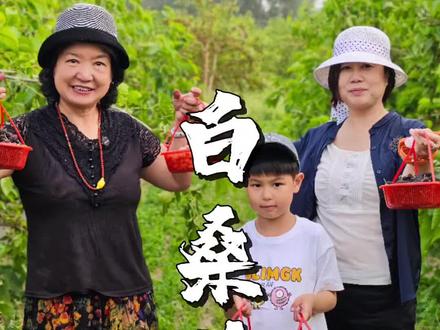 白桑葚?仙姐又是丰收的一天,还有好多没熟,大家可以安排起来…