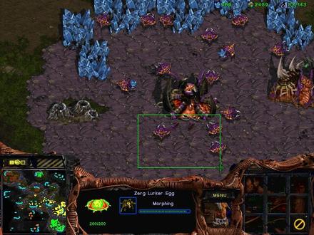 星际争霸1经典地图无限矿Big Game Hunters三打四