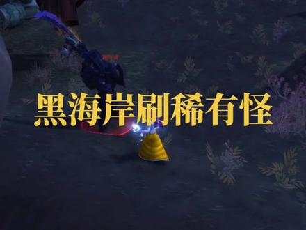 黑海岸刷坐骑刷玩具小宠物#魔兽世界正式服#魔兽世界休闲玩家