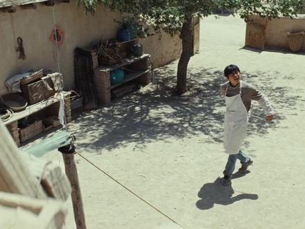 生命树:白芍出钱支持白及开饭店,白及创业成功逆袭玛治县首富