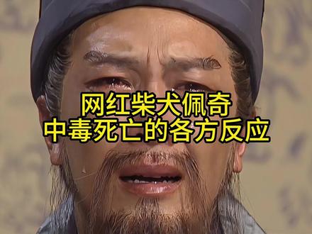 网红小狗小柴佩奇中毒死亡,我的电子小狗也离世了!#小柴佩奇 #网红小狗 #佩奇 #柴犬 #爱狗一族